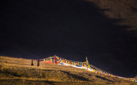 传统建筑,长城,树,建筑,植物