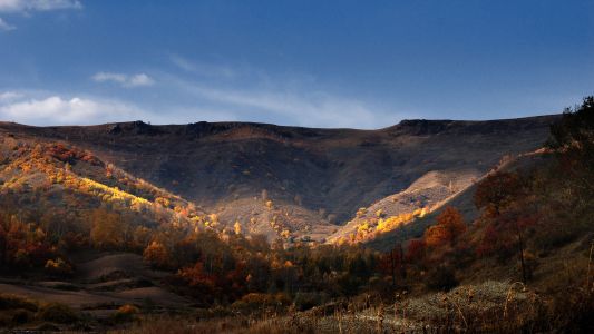 自然风光,全景,枫树,天空,山川,植物,灌木