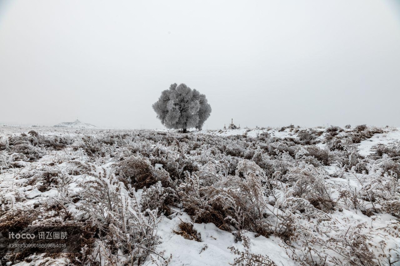 冬天,冰雪,树挂