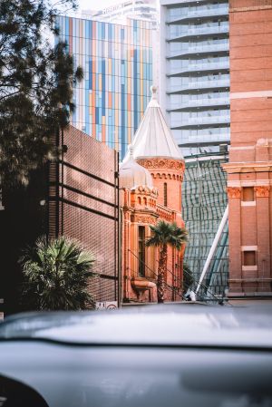 城楼,传统建筑,建筑,城镇,植物,树叶,树木