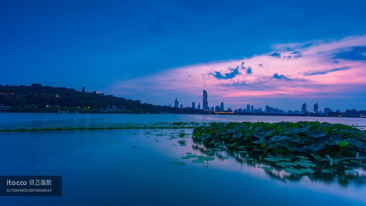 荷花,天空,自然风光