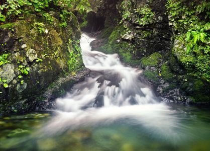 瀑布,自然风光,江河,岩石,植物,地衣