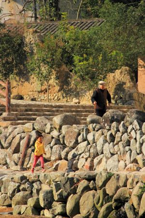 生活工作,城镇,植物,树木,岩石,村镇