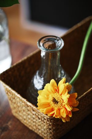 花,玻璃瓶,竹篮,洋甘菊,物品,特写,植物,生活用品,杯子