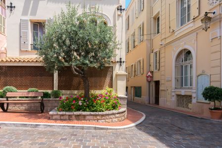 街道,城镇,建筑,村镇,道路,城市道路,植物,树木