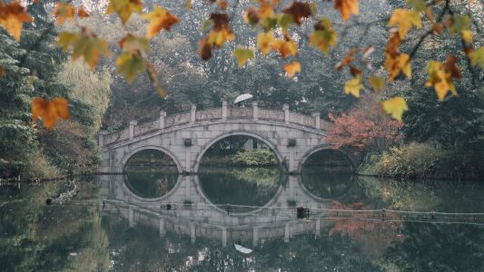 建筑,历史古迹,自然风光,江河,森林,秋天,植物,树木,桥,拱桥