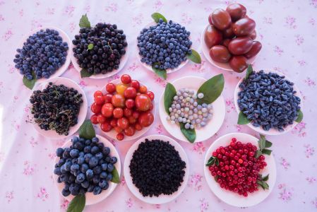 美食,水果,阿木尔,蓝莓小镇,黑龙江,生活工作,特写