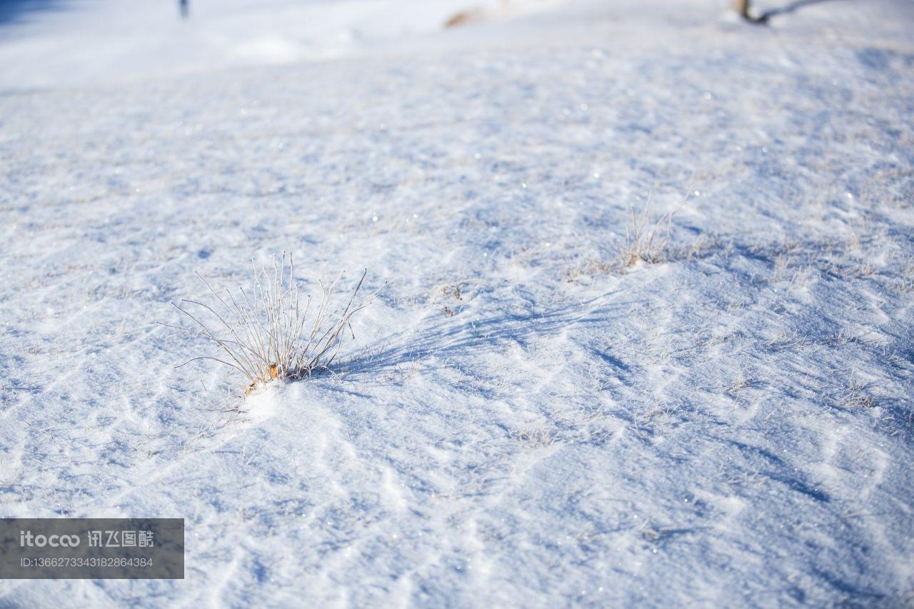 冰雪,雪原,自然风光