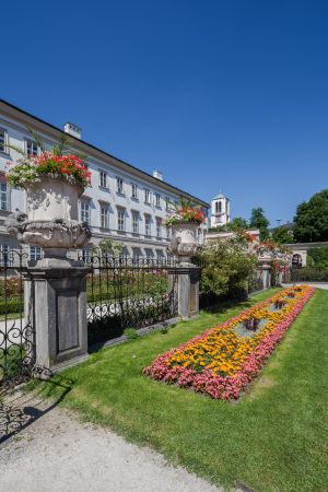 青草,公园,建筑,城镇,植物,花,国外,奥地利