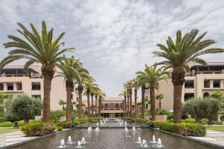 摩洛哥,棕榈科,棕榈,水池,喷泉,国外,城镇,天空,建筑,植物