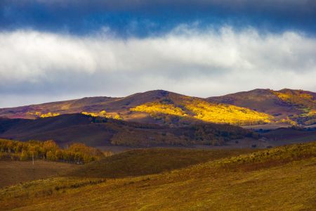 自然风景,草原,自然风光,全景,树木,天空,植物,白云