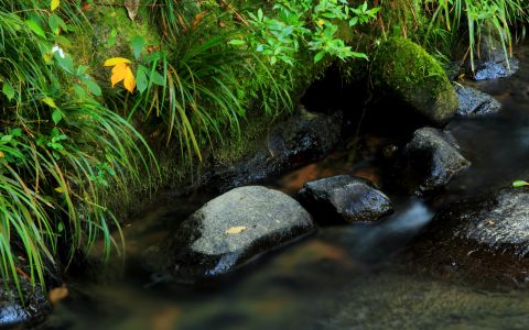 自然风光,岩石,江河,植物