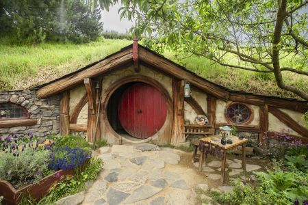 植物,草原,民居,城镇,自然风光,国外,青草,新西兰