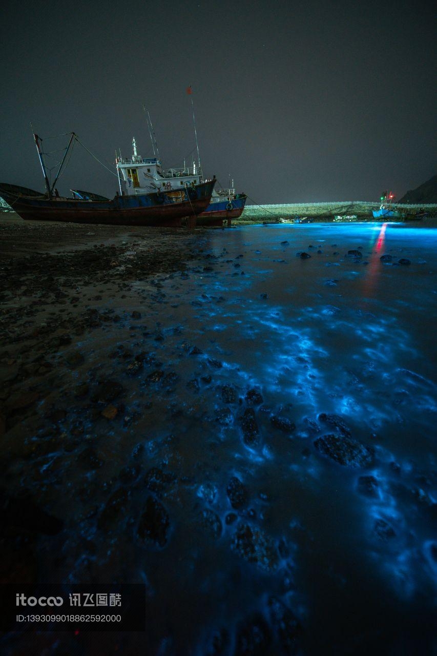 交通工具,夜晚,海洋