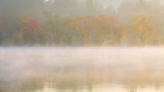 自然风光,秋天,雾,植物,树木,森林,湖泊
