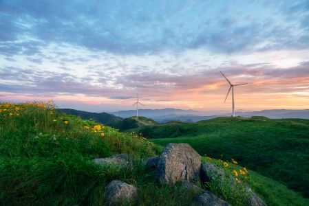 自然风光,田园风光,晚霞,天空,白云,植物,花