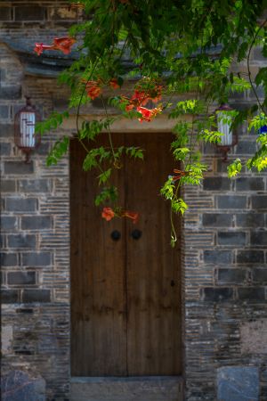 特写,木门,建筑,历史古迹,城镇,植物,树木