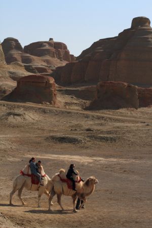 新疆,自然风光,历史古迹,戈壁,骆驼
