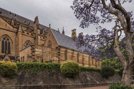 教堂,建筑,城镇,宗教文化,历史古迹,国外,澳大利亚,悉尼