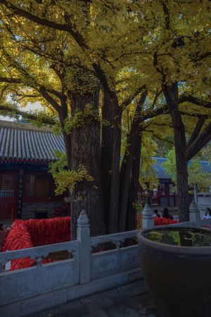 建筑,红螺寺,传统建筑,中国,北京,历史古迹,寺庙,城镇,植物,树木,水缸
