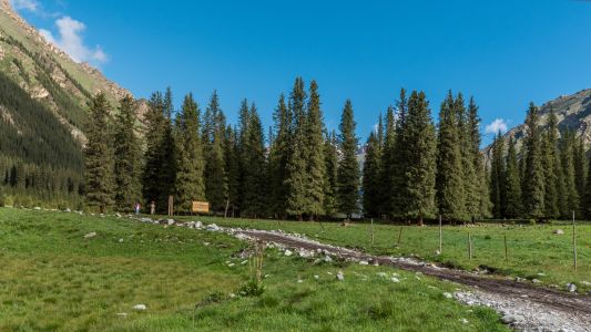 山峦,自然风光,山川,天空,植物