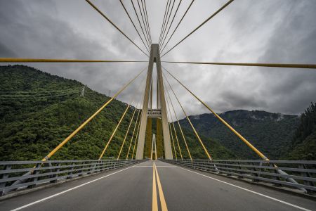 桥,仰拍,城镇,自然风光,乌云,山川,森林,中国,西藏