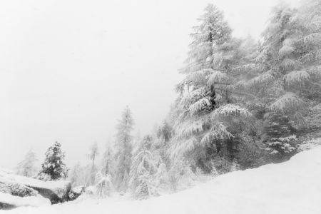 树木,冰雪,绘画,山峦,自然风光