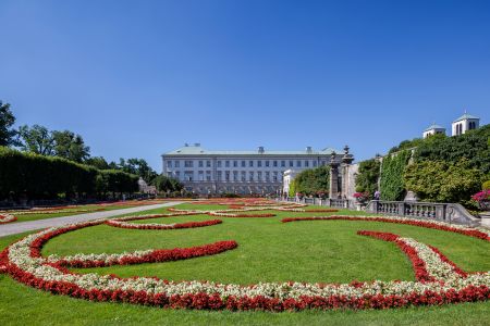 青草,公园,建筑,城镇,植物,花,国外,奥地利