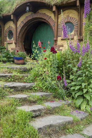 植物,草原,民居,城镇,自然风光,国外,青草,新西兰