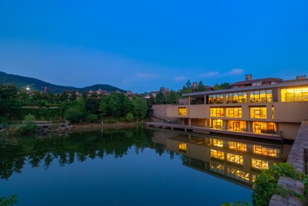 夜晚,城镇,建筑,天空,湖泊,植物,树木,藤类,森林