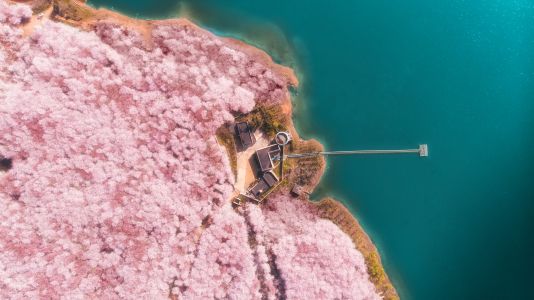 自然风光,航拍,森林,海岛,俯瞰,植物,花,树木,海洋,湖泊,建筑,道路