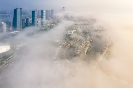 都市,建筑,雾,云雾缭绕,城镇,全景