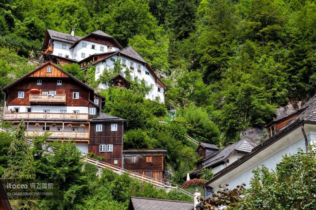 建筑,村镇,植物