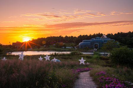 天空,自然风光,植物,晚霞,道路,湖泊,建筑,森林,树木,青草,太阳,花,白云,路灯