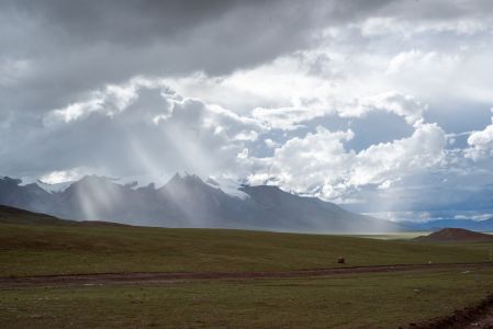 草原,高原,自然风光,天空
