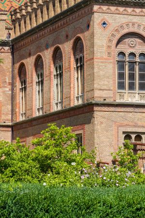 城镇,国外,建筑,植物,树木,乌克兰