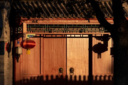 中式传统建筑,建筑,特写,城镇,树木,红色灯笼,植物