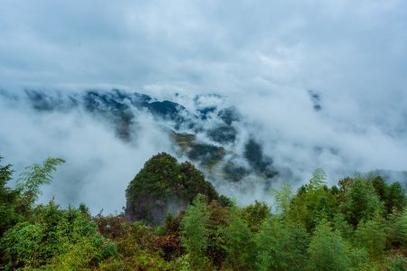 俯瞰,云雾,自然风光,森林,雾,植物,树木,天空,山川
