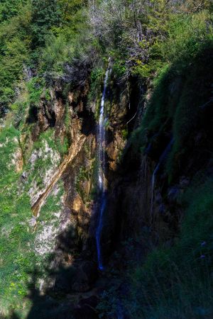 植物,自然风光,风景,山峦,森林,山川,岩石,树