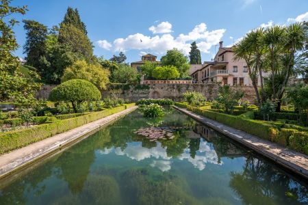 建筑,植物,现代建筑,城市街道,城镇,生物,全景,灌木,花