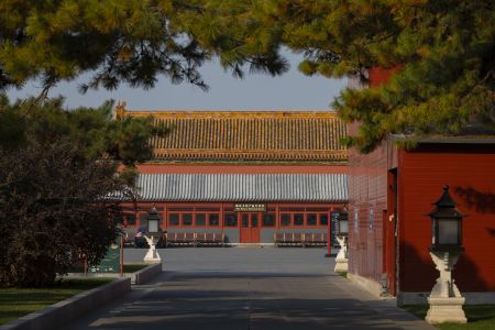 建筑,北京,城镇,历史古迹,景点,故宫,植物,树木