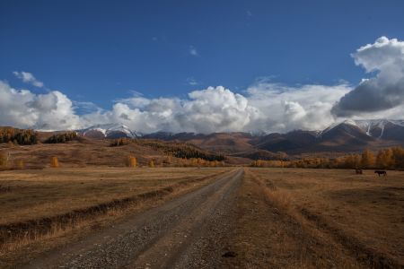 草原,新疆,自然风光,戈壁,白云