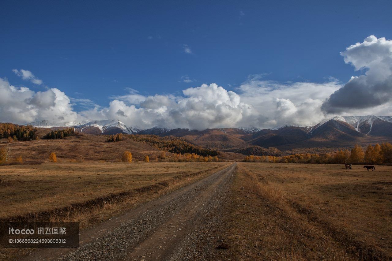 草原,新疆,自然风光
