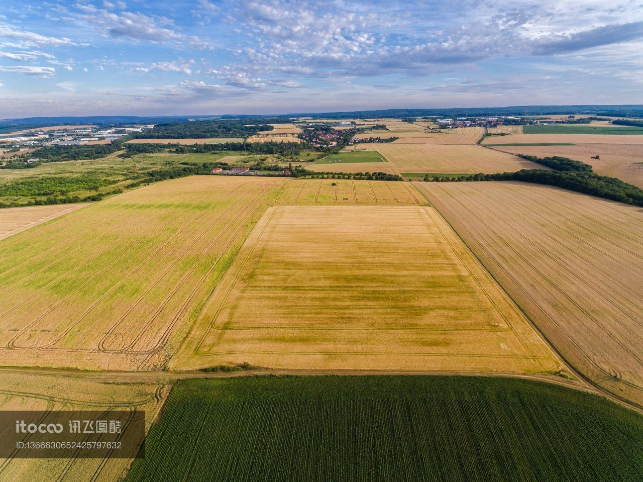 自然风光,稻田,德国