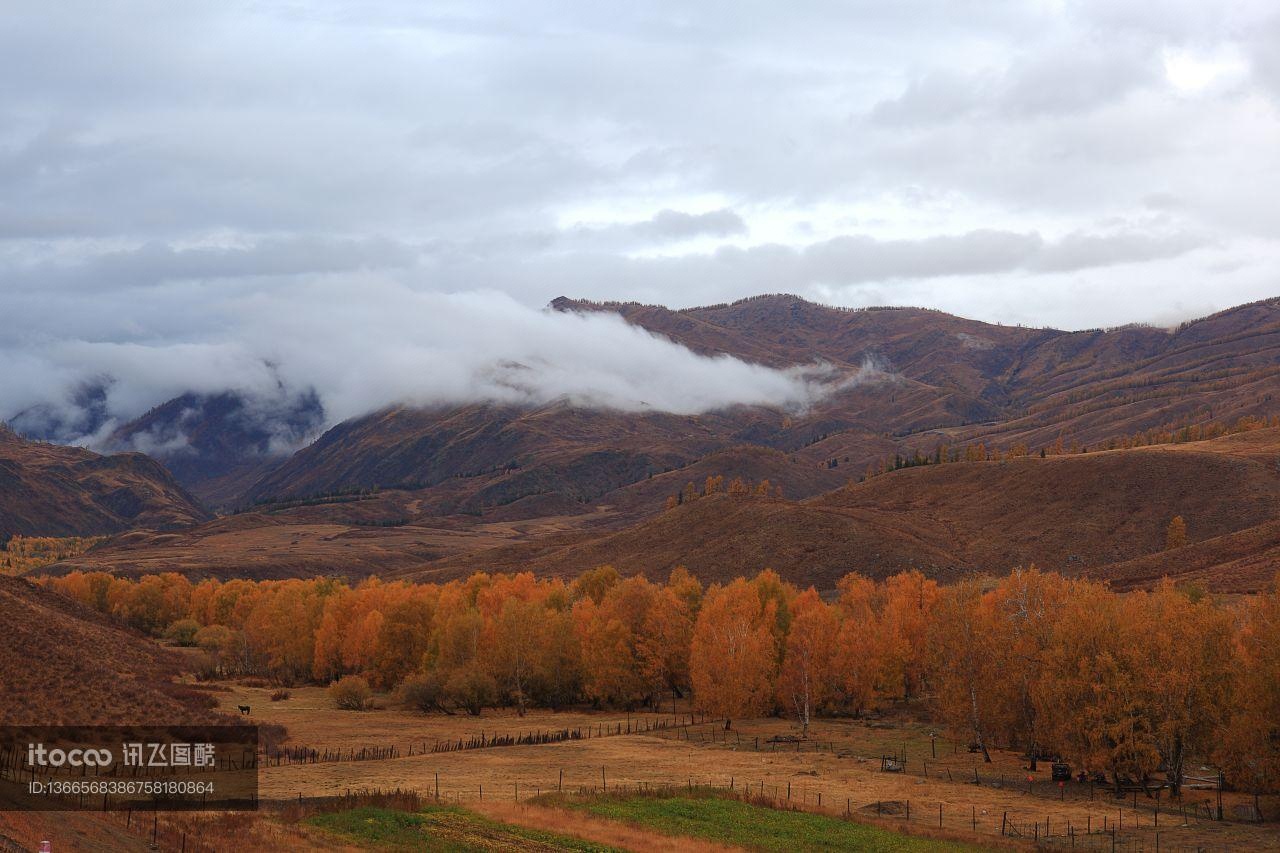 新疆,自然风光,白云