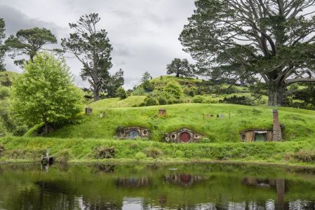 植物,草原,民居,城镇,自然风光,国外,青草,新西兰