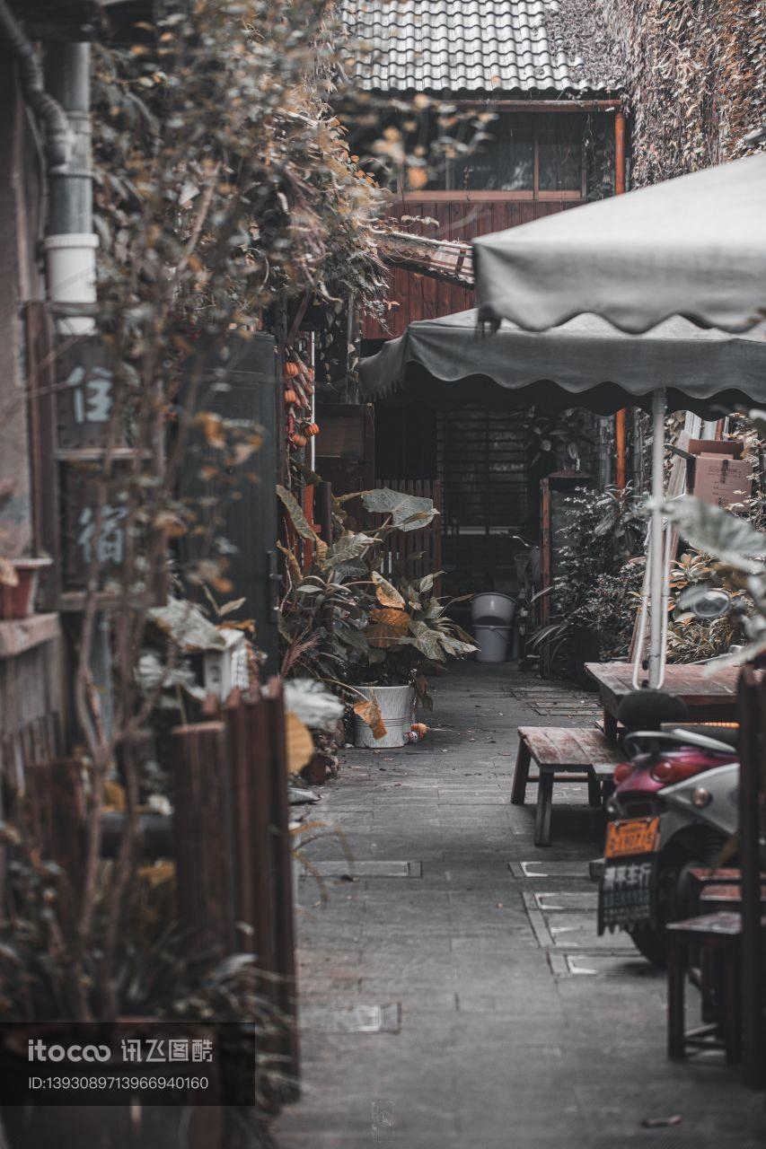 庭院,盆栽植物,建筑