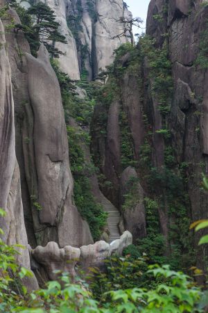 岩石,三清山,中国,松树,山川,天空,江西,自然风光,植物