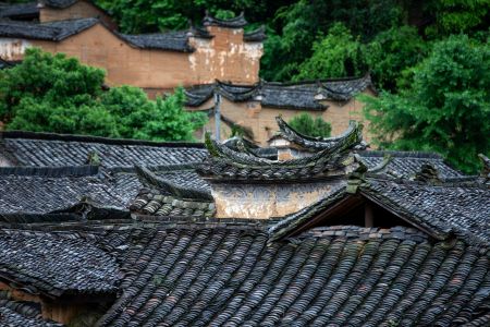 建筑,历史古迹,村镇,俯瞰,城镇,民俗风情,特写,森林,植物,树木