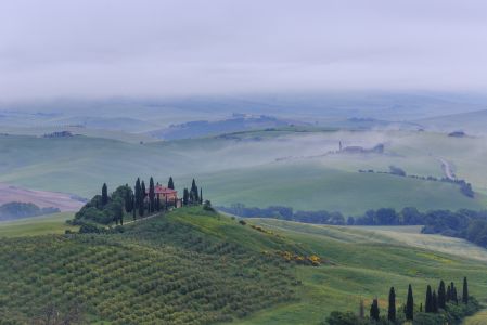 草原,自然风光,城镇,山川,森林,建筑,山峦,植物,成片种植,龙脊梯田
